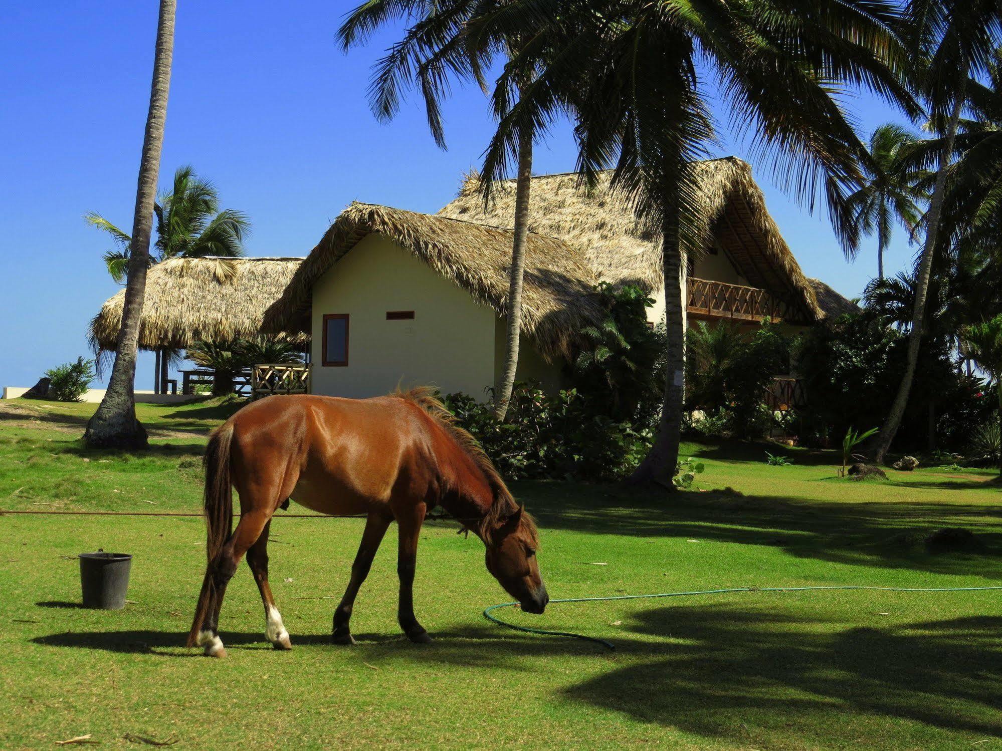 Villa Punta Coral Las Galeras Dış mekan fotoğraf